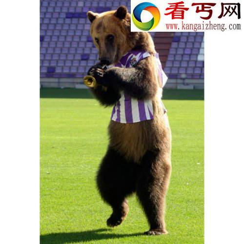 盘点动物奇闻俄罗斯熊会吹喇叭