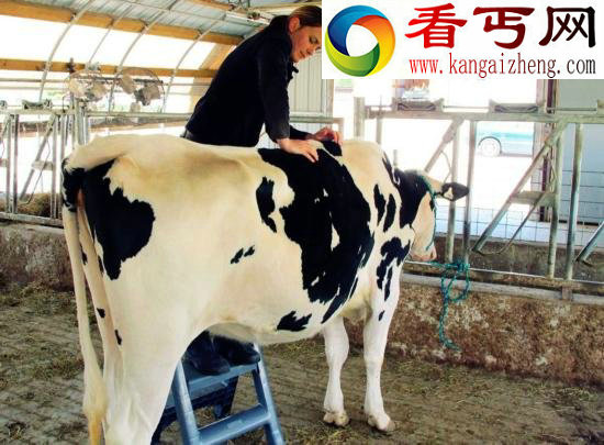 动物的故事:享受“销魂服务”