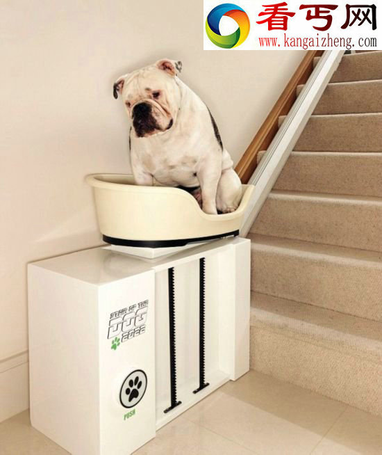 动物的故事:享受“销魂服务”