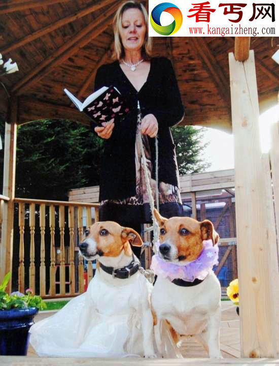 动物的故事:享受“销魂服务”