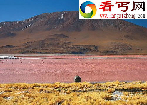 世界各地各大奇异湖泊盘点