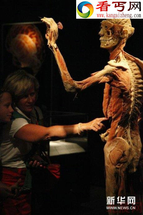 恐怖木乃伊人体解剖展(组图)
