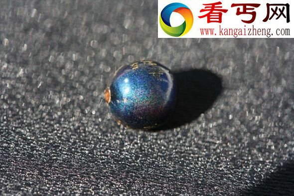 非洲雨林发现色彩缤纷最丰富水果(组图)