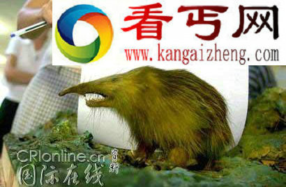 世界十大“最美”动物 美貌可杀人