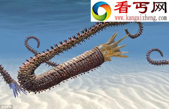 现代鱿鱼和章鱼的祖先,被称之为“Dissimilites termedius”。科学家利用发现的化石复原了这种古生物的原貌 1.28亿年前鱿鱼祖先身体长满钉状结构(图)