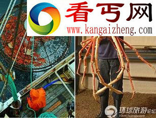 海底巨型恐怖怪物红王蟹