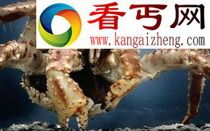 海底巨型恐怖怪物红王蟹