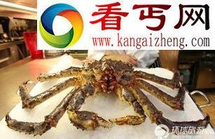 海底巨型恐怖怪物红王蟹