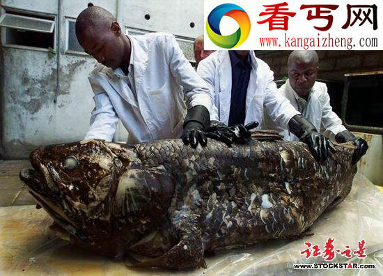 十大诡异海中生物(图片)