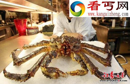 十大诡异海中生物(图片)