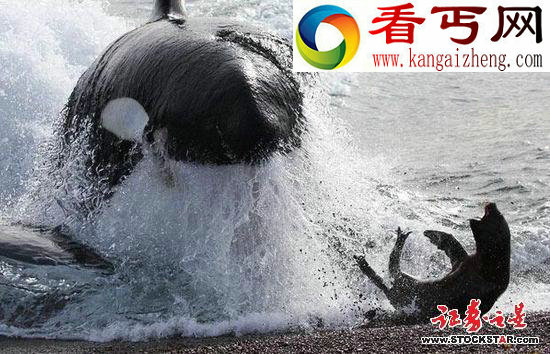 十大诡异海中生物(图片)