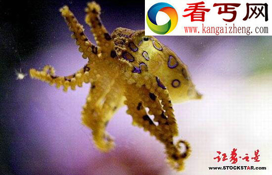 十大诡异海中生物(图片)