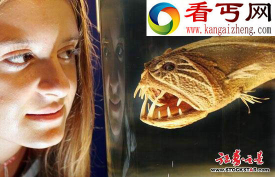十大诡异海中生物(图片)