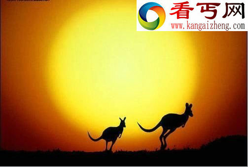 绝对隐私: 蜜蜂讲贞操 大熊猫爱倒立撒尿