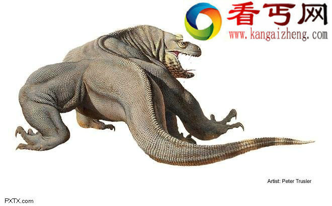 15大全球极度濒危物种:科莫多巨蜥凶猛赛恐龙 