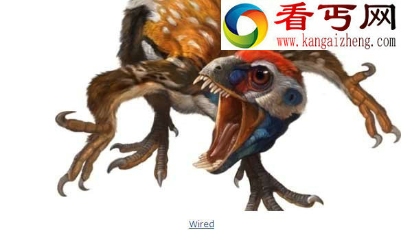 10大最著名恐龙盘点只有火鸡大小的秀颌龙
