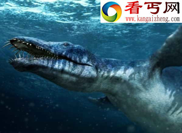 10大最著名恐龙盘点只有火鸡大小的秀颌龙