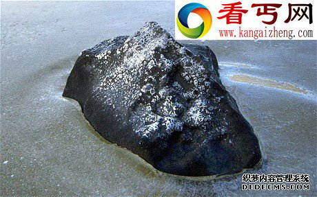 这是2008年11月28日在加拿大的一个池塘内发现的一块陨石碎片 陨石碎片中发现早期生命形成关键化学物质