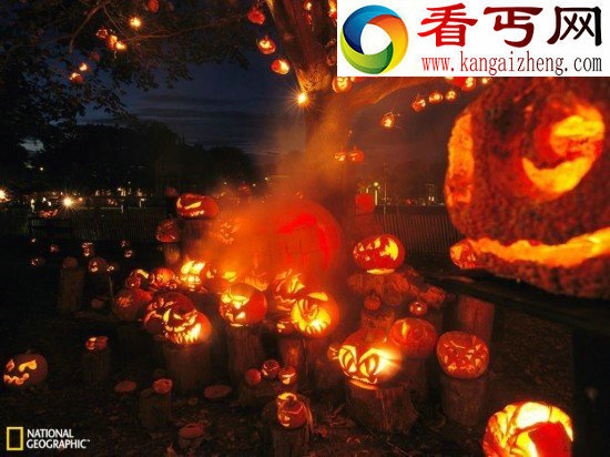 (多图)夜总会水下游动的海马