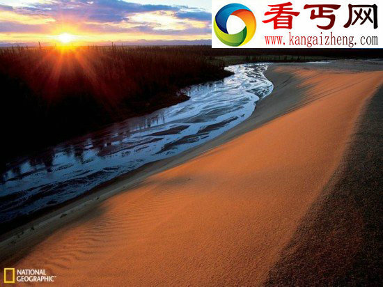 (多图)夜总会水下游动的海马