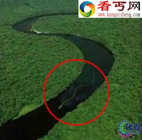 一百英尺长巨蛇出没婆罗洲 1龙头7鼻孔似地狱怪物