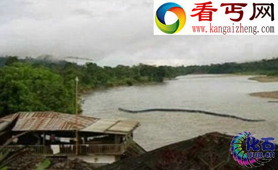 一百英尺长巨蛇出没婆罗洲 1龙头7鼻孔似地狱怪物