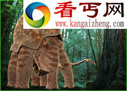 2亿年后新物种大预言
