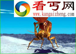 2亿年后新物种大预言