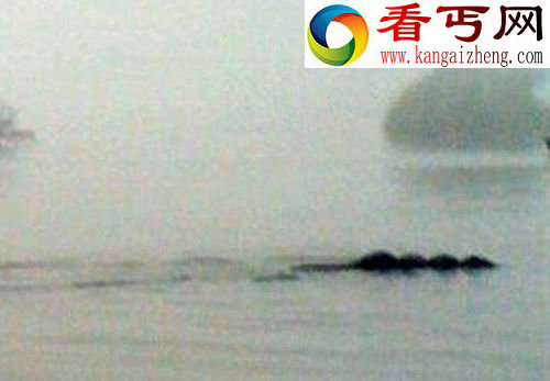 揭露英“温德米尔湖水怪” 仅是轮胎浮在水面