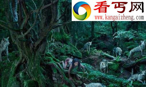 全球被动物养大的悲惨人类,现实版人猿泰山!