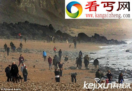 英海滩发现侏罗纪悬崖倒塌疑远古生物化石