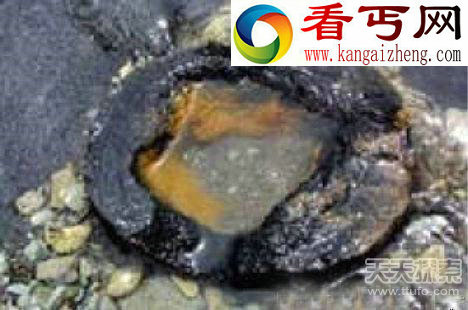 50万年前的火花塞是不是外星人所留