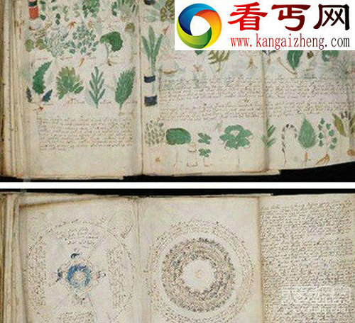 50万年前的火花塞是不是外星人所留