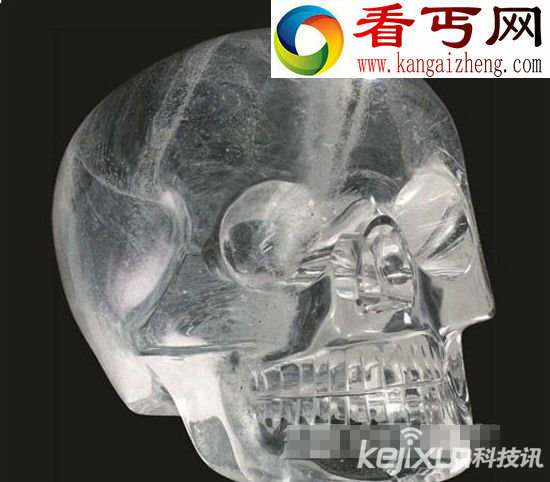 考古学家收藏七颗头骨 每一颗价值不菲