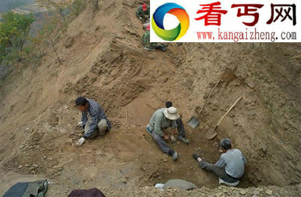 具有类似蝙蝠翅膀的小型恐龙——奇翼龙