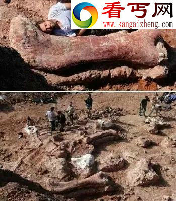 关于恐龙十大真相 详解侏罗纪世界中18种恐龙