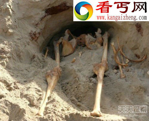 新疆挖出身高超过2米神秘巨人尸骨