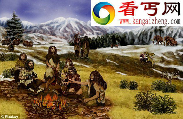 探索冰河时期大型哺乳动物灭绝之谜