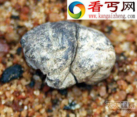 史上沿用至今的古老发明 战国时期已有冰箱