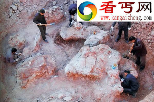 探秘中原的“恐龙世界”