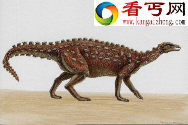 风格迥异的恐龙家族霸王龙最凶残