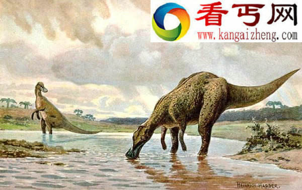 加拿大北极地区发现鸭嘴龙化石