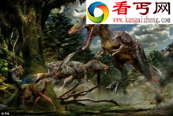 全新的恐龙物种化石-皮诺曹恐龙