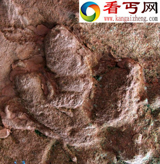 安徽发现重要恐龙足迹-曾被传作张三丰手印
