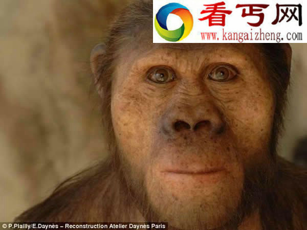 古生态学艺术家用粘土和硅树脂制作人类祖先模型