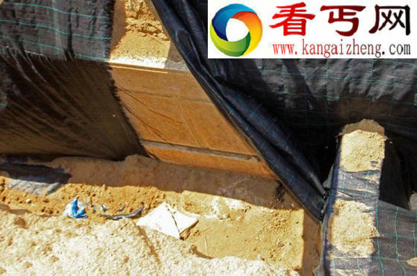 希腊发现疑似亚历山大大帝墓