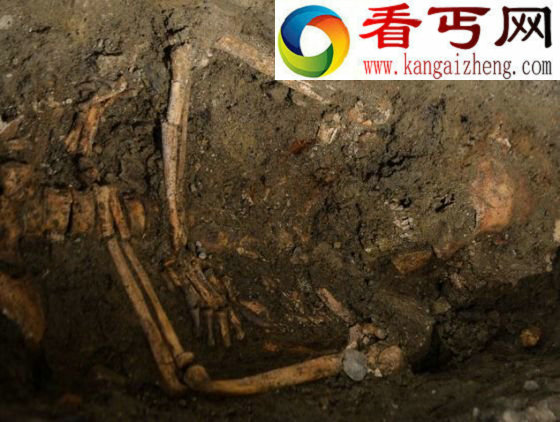 疑似蒙娜丽莎原型遗骸将进行面部复原