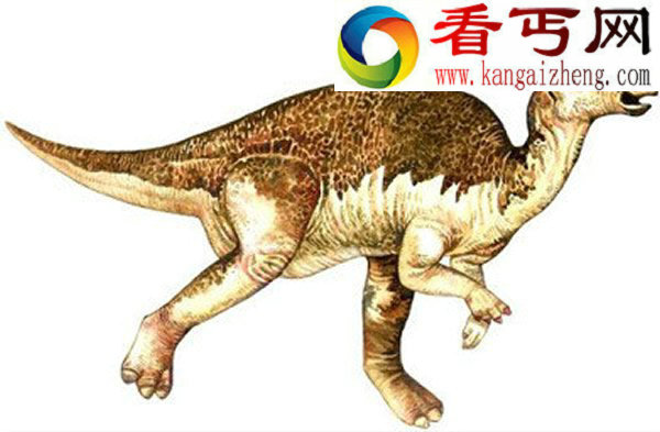 长相最蠢的5种恐龙