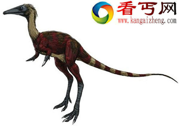 长相最蠢的5种恐龙