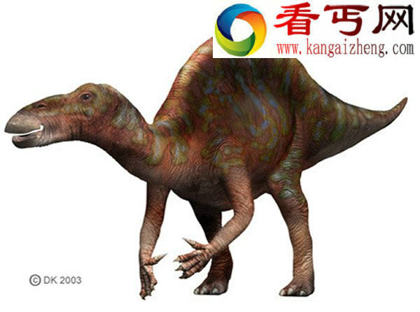 长相最蠢的5种恐龙